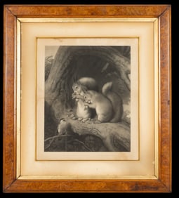 Antique Squirrel Engraving