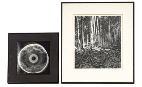 Martin Goldman and Unsigned Art Photography