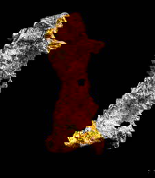 Australian 24K Gold Nugget - Figural Poodle