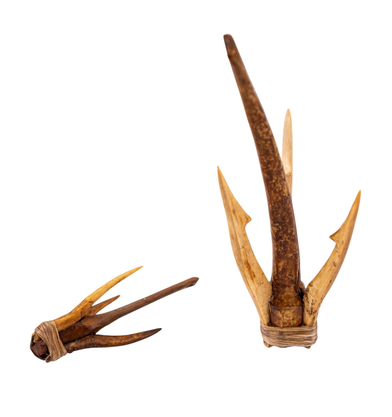 Inuit Inupiat Yupik Arctic Cod Hook Artifacts (2): 2 artifact pieces of hand-carved fossilized walrus bone triple-barbed gorge hooks used for catching Arctic cod. These artifacts were excavated at Savoonga on St. Lawrence Island, Alaska by Native Amer