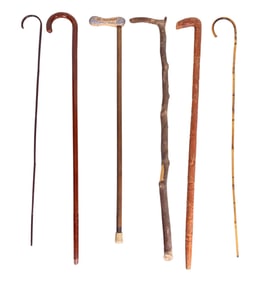 6 Canes including a Carter Peanut Handle
