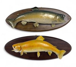 Fish Mounts w / Rainbow Trout and Palomino