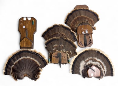 Turkey Fan Mounts most w/ Plaques