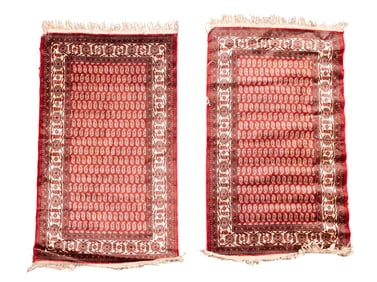 Persian-Style Rug Pair