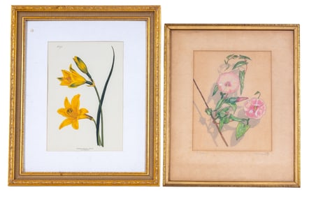 Floral Drawing and Print