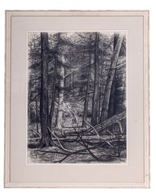 Framed Charcoal Drawing