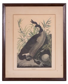 J.J Audubon, R. Havell Canada Goose Lithograph