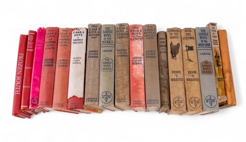 20th C Ferris, Carson, Alger, and Other Novels