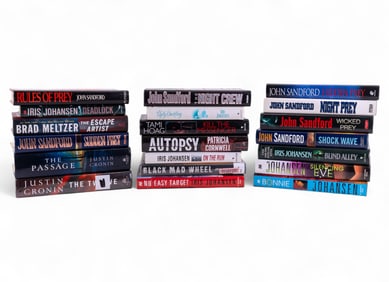 Contemporary Hardcover Novels (20)