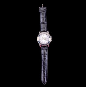 Lucien Picard Men's Stainless Steel Watch, Model 2
