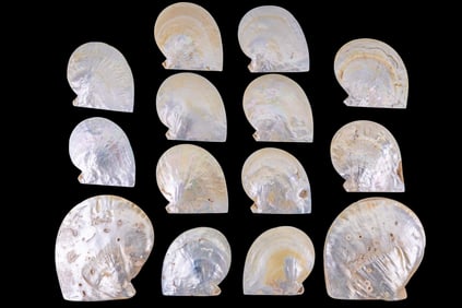 Mother of Pearl Shell Plates + Dishes (14 Pc.)