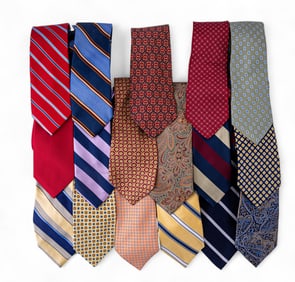Designer Silk Neck Ties (17)