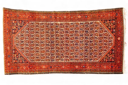 Antique Persian Carpet ~8'L