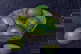 item-209252132=9