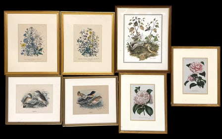 Seven Botanical, Floral & Bird Prints Philadelphia