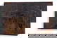 item-209252182=16