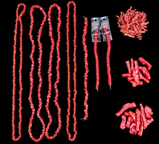 Coral Pieces and Beads for Jewelry Craft