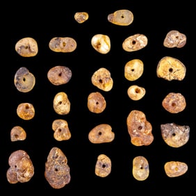 Rough Amber Chunks / Beads Grouping