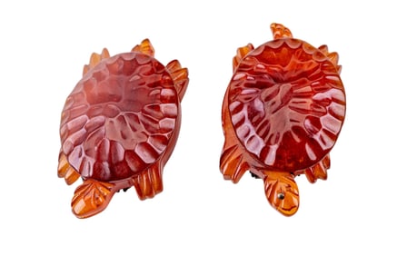 Vintage Bakelite Turtle Clips