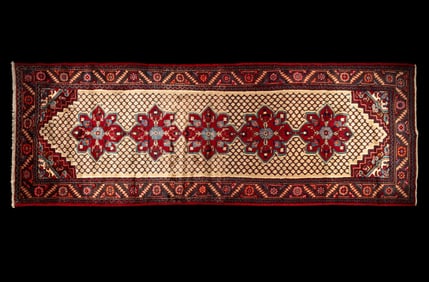 Hamadan Persian Runner / Rug ~3.75' x 10'