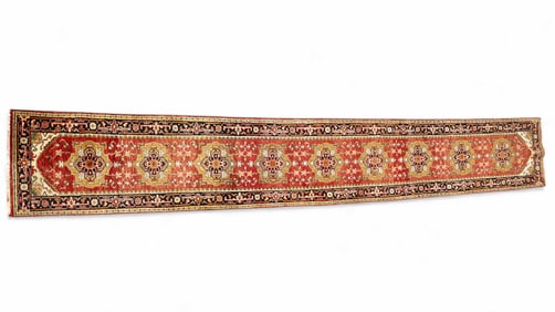 Long Persian Runner w/ 9 Medallions ~2.5'x20'