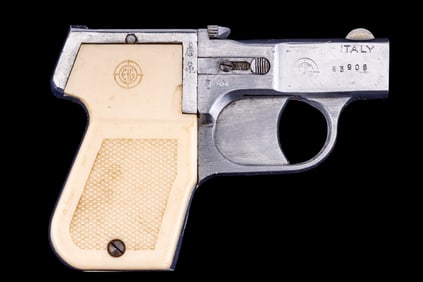 EIG Italy E-16 4 Shot Derringer .22 Pistol