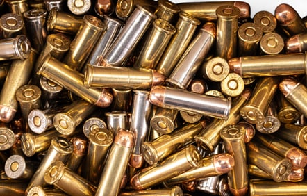 BVAC 38 Special 158GR Ammunition
