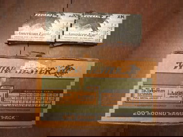 5.56mm Ammo Winchester & Federal