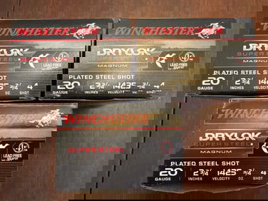 Winchester Drylok 20-Gauge 2-3/4 Inch Shotshells
