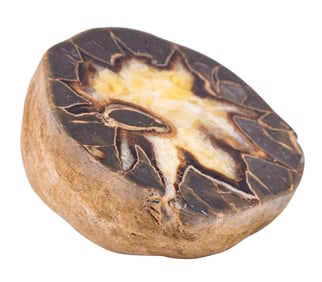 Septarian Nodule (Calcite) / Dragon Stone