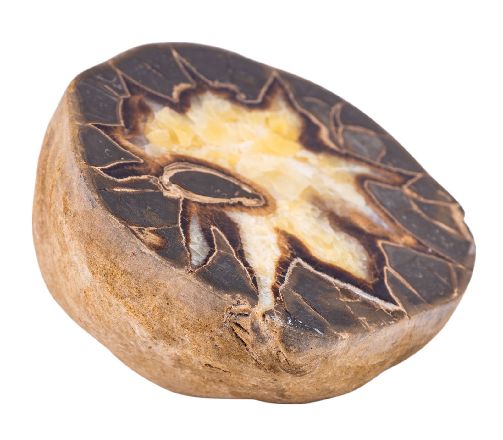Septarian Nodule (Calcite) / Dragon Stone (1 of 6)