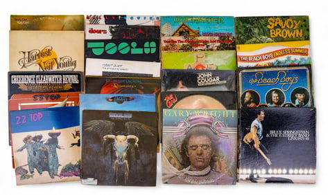 Vintage Vinyl Records (22)