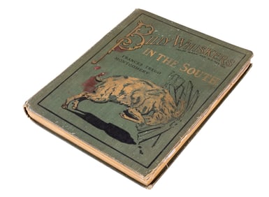 1917 Book Billy Whiskers In The South, Illust.