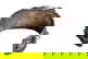 item-210994769=4