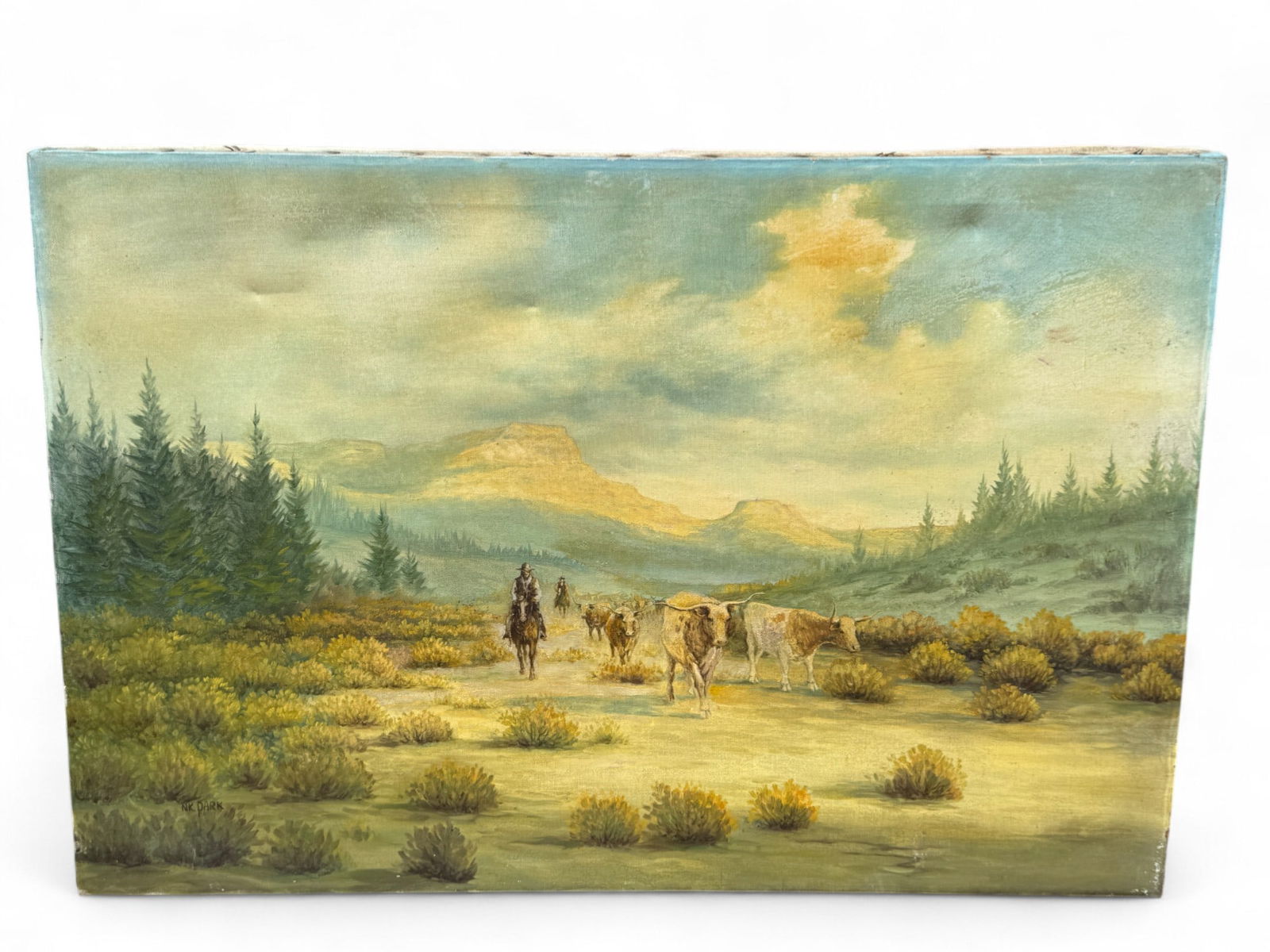 N.K. Park O/C Western Landscape (1 of 7)