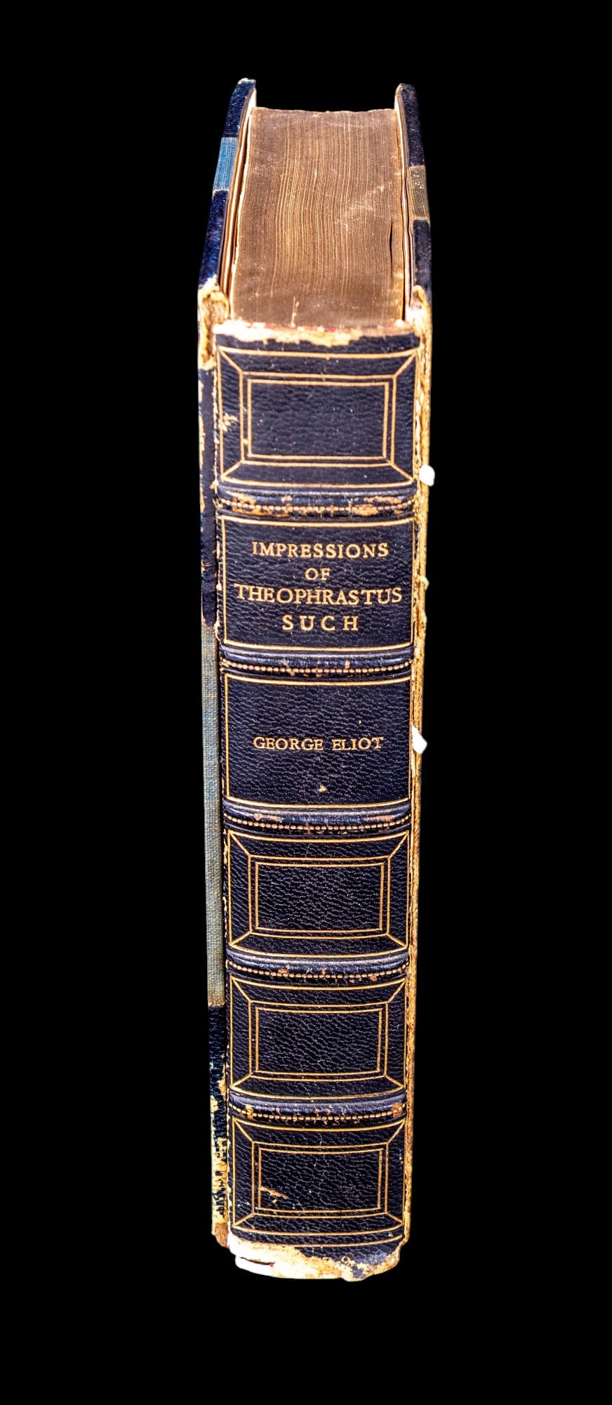 George Eliot, Impressions of Theophrastus Such (1 of 13)