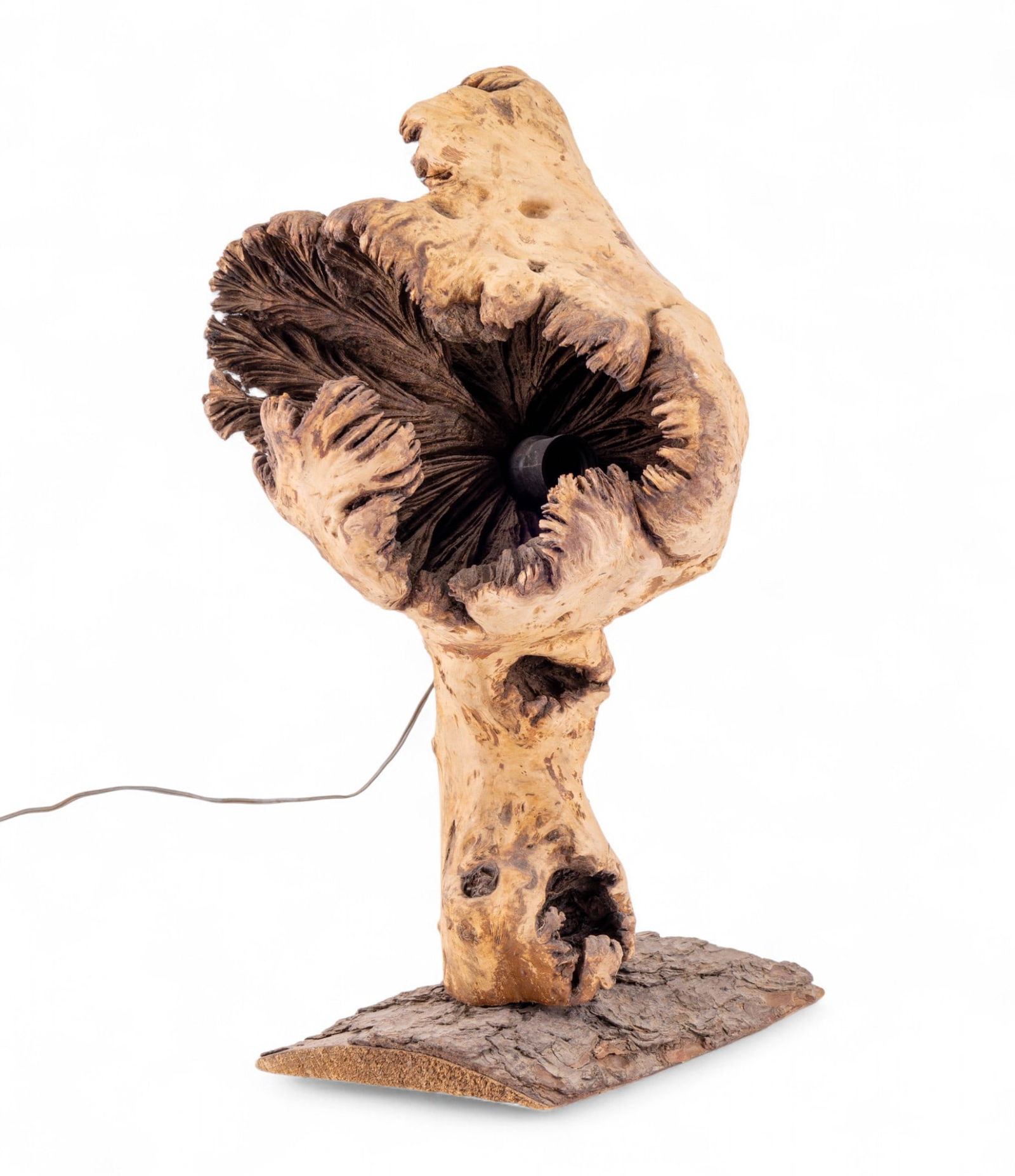Mid-Century Burl Wood Table Lamp (1 of 12)