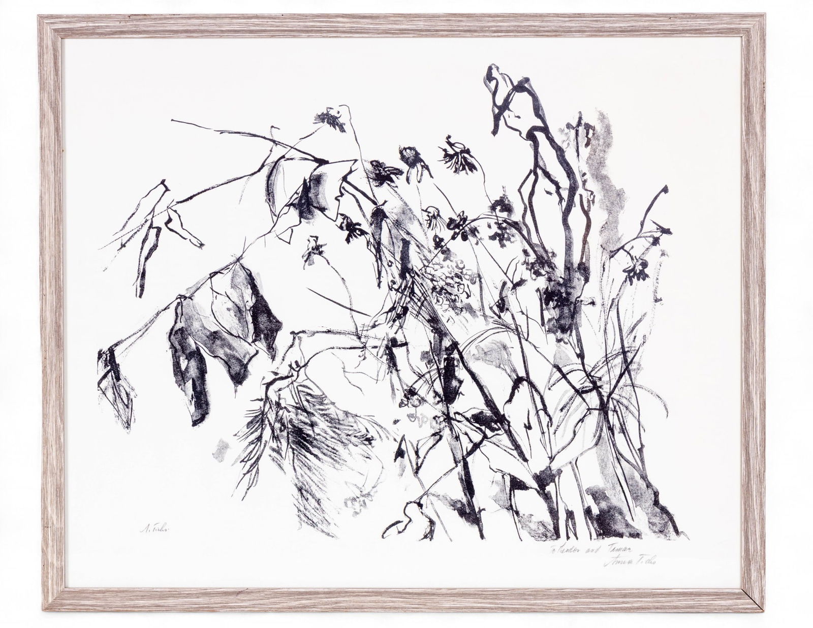 Anna Ticho (Is/Cz, 1894-1980) Framed Litho (1 of 7)