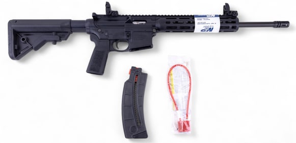 M & P 15-22 Sport Long Rifle DLX3038 NIB