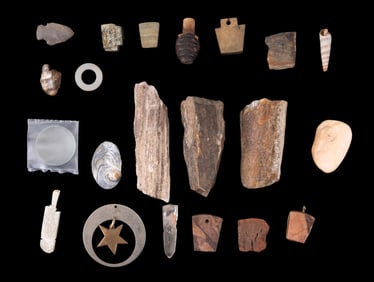 Petrified Wood, Fossils, and Mixed Curiosities