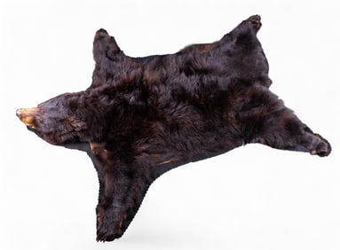 Authentic Black Bear Skin Rug