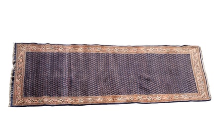 Botemir Persian Runner