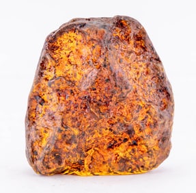 Large Reconstituted Amber-Style Chunk with Insect