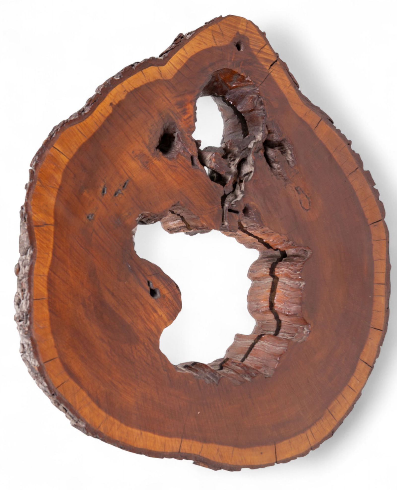 Live Wood Tree Slice Wall Mirror (1 of 7)