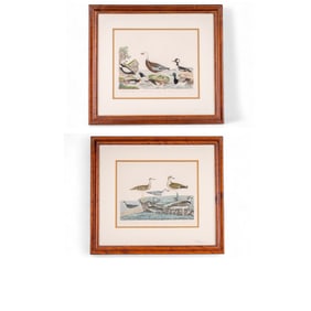 Pair of Lithographs After Alexander Wilson (1766-1