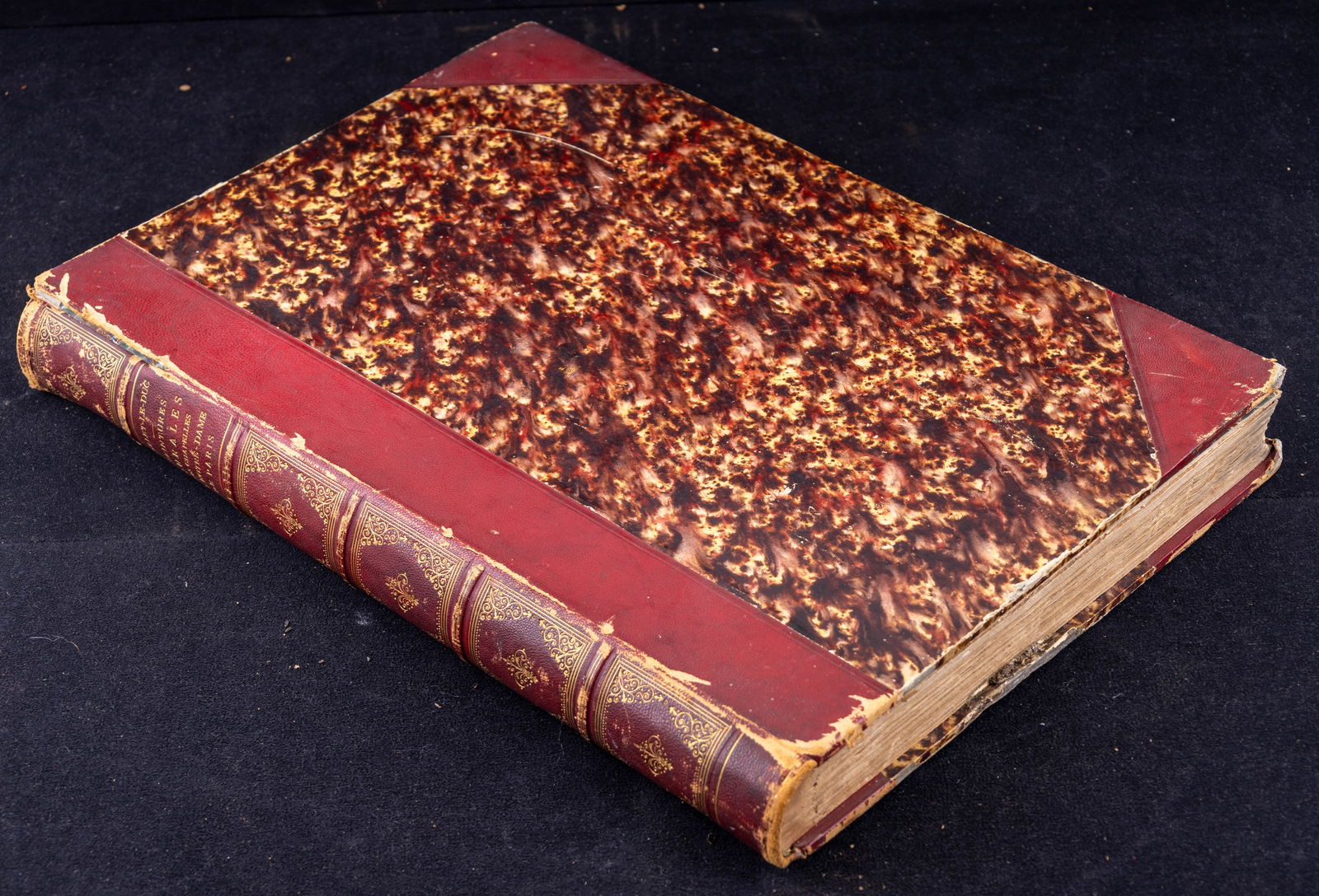 Viollet-le-Duc, Notre-Dame Murales, 1870 Folio (1 of 14)