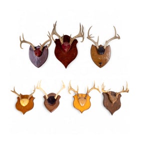 7 Vintage Mounted Deer Antlers