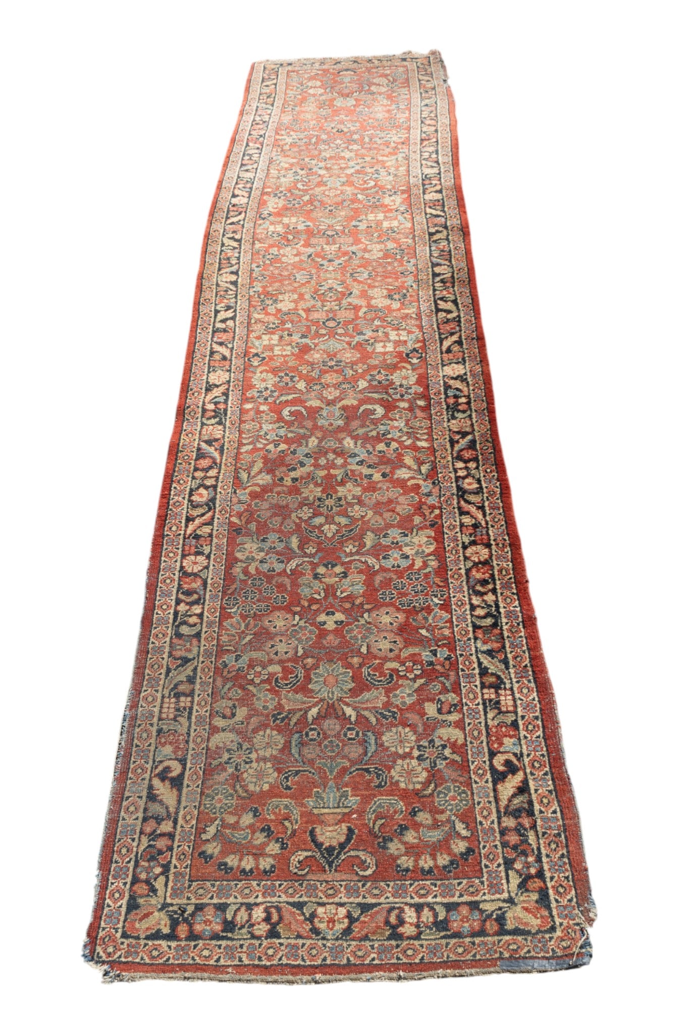 Persian Runner: Persian runner.