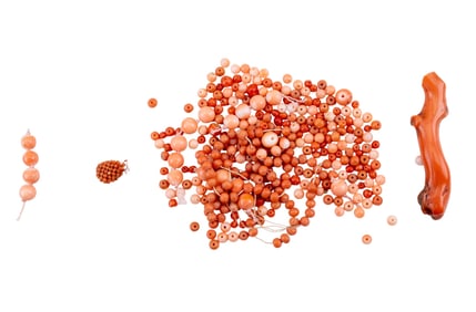 Coral Jewelry Craft