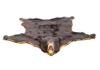 Large Fine Black Bear Mounted Rug